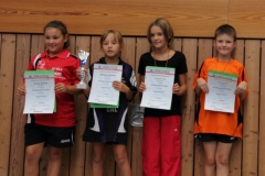 TT-Kreiseinzelmeisterschaften 2012