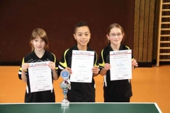 TT Bezirkspokal 2013/2014